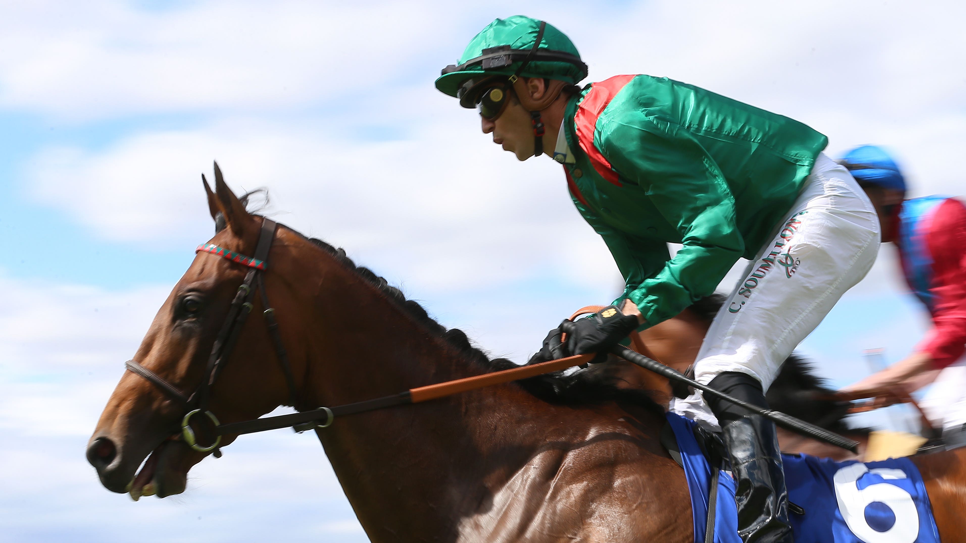 Qipco British Champions Day: read latest plans for big names - Vimarsana News