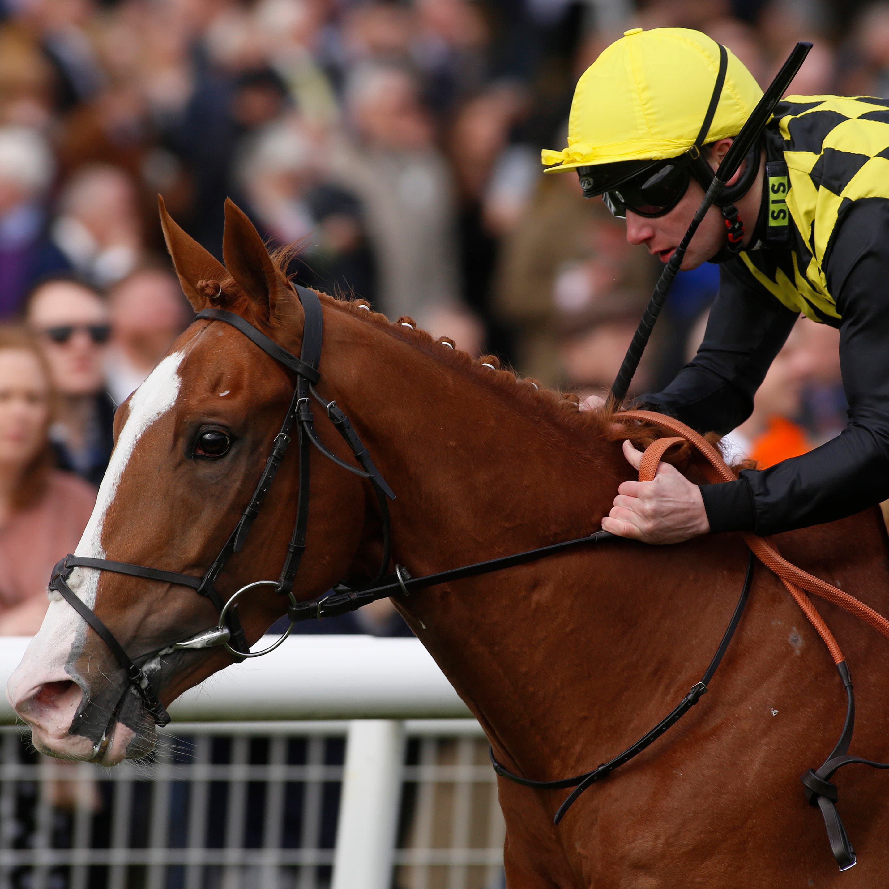 Raise You is set for the French Derby