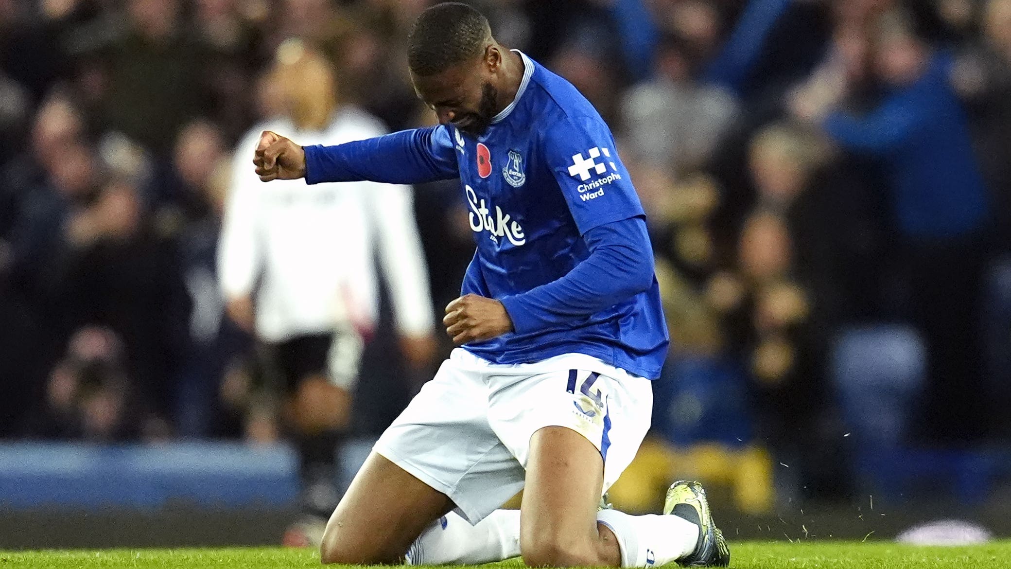 Beto celebrates scoring Everton’s equaliser against Fulham (Nick Potts/PA)