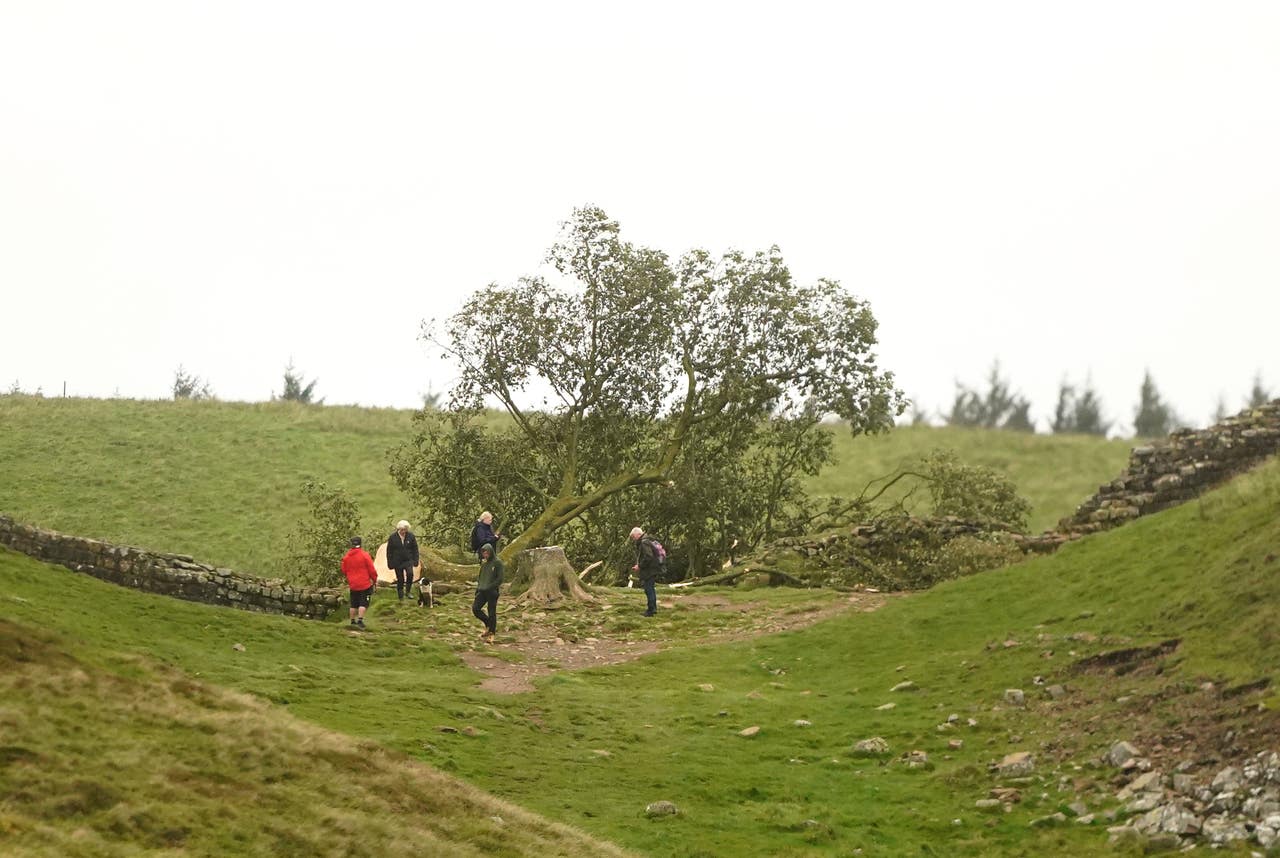 In Pictures Sycamore Gap tree’s absence is felt a year on Ludlow