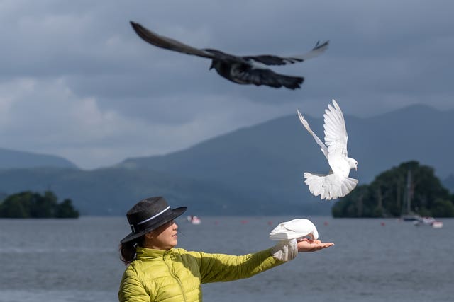 A tourist feeds some birds in the Lake District