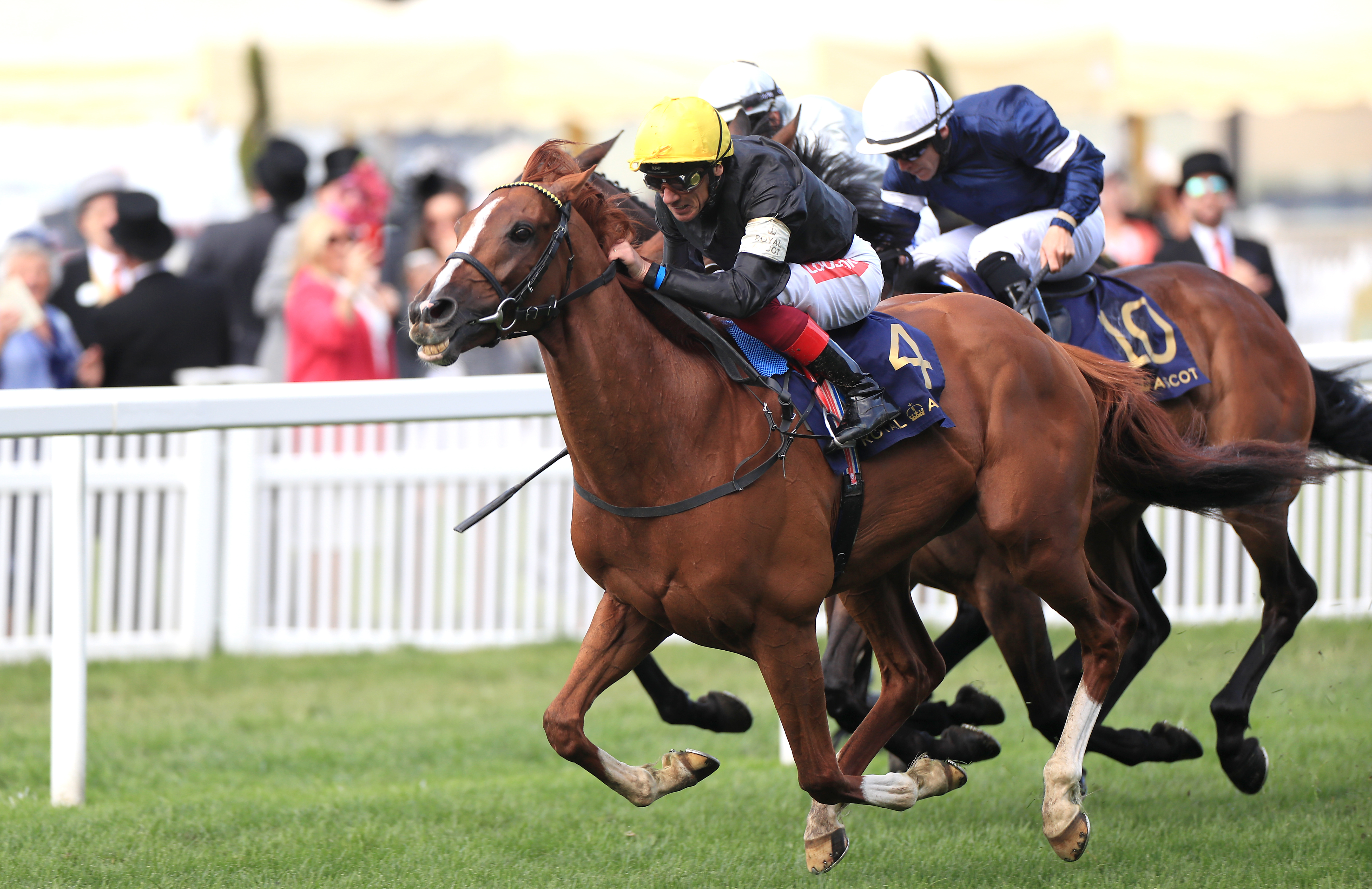 Stradivarius defended his Gold Cup title on a thrilling Thursday at Ascot