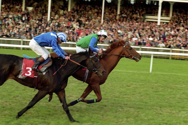 Rodrigo de Triano won the Champion Stakes for Chapple-Hyam, Piggott and Sangster in 1992