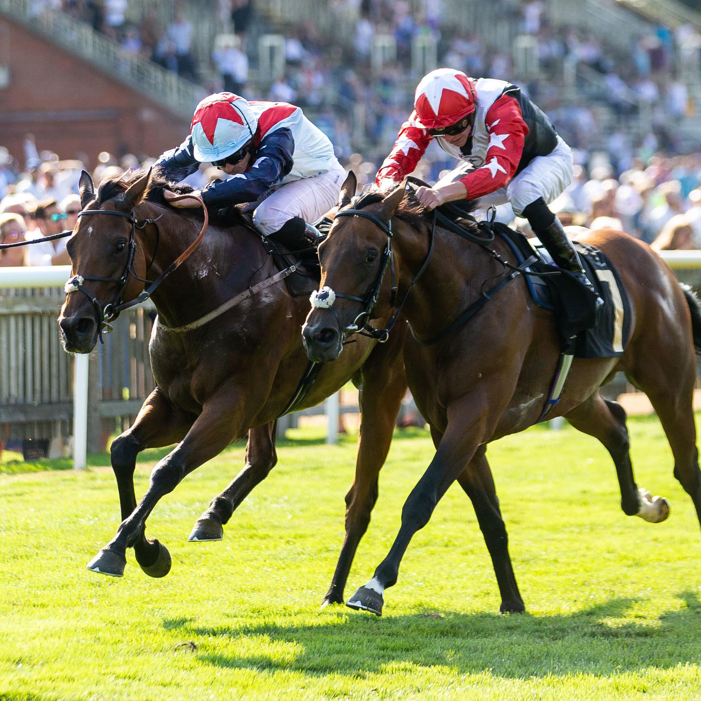 Hayley Turner is looking forward to teaming up with Ripp Orf (left) in the Lincoln