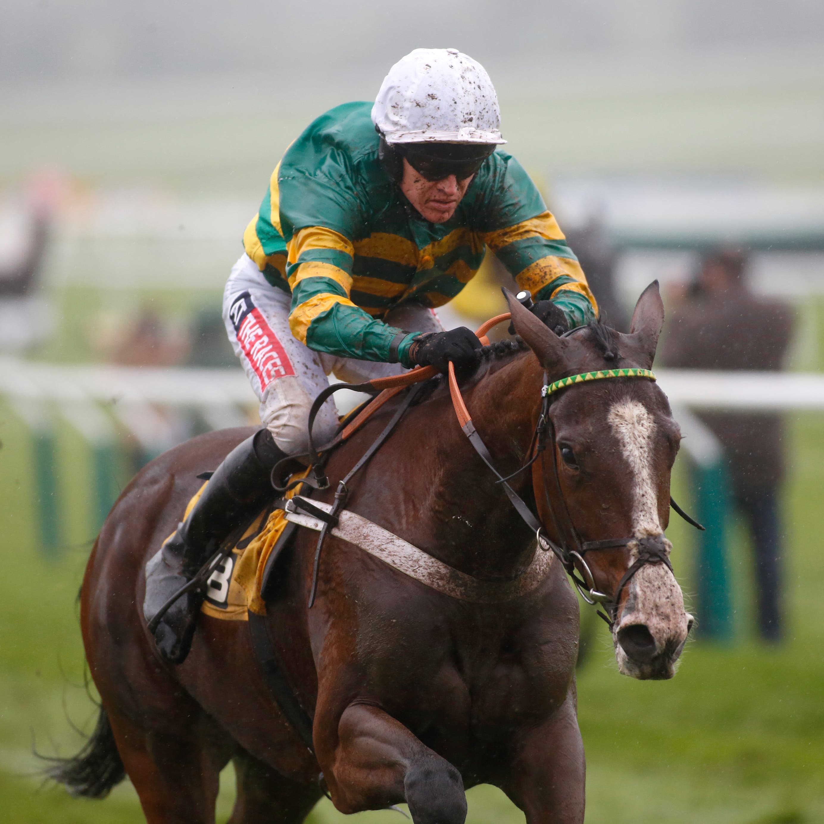 Appleās Shakira could make her seasonal debut in the Greatwood at Cheltenham