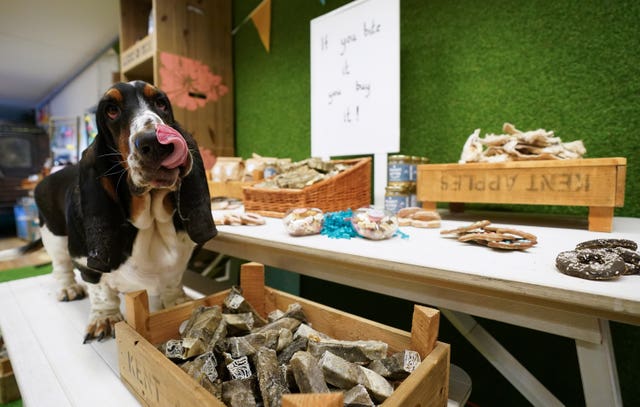 Drool – foodhall for dogs
