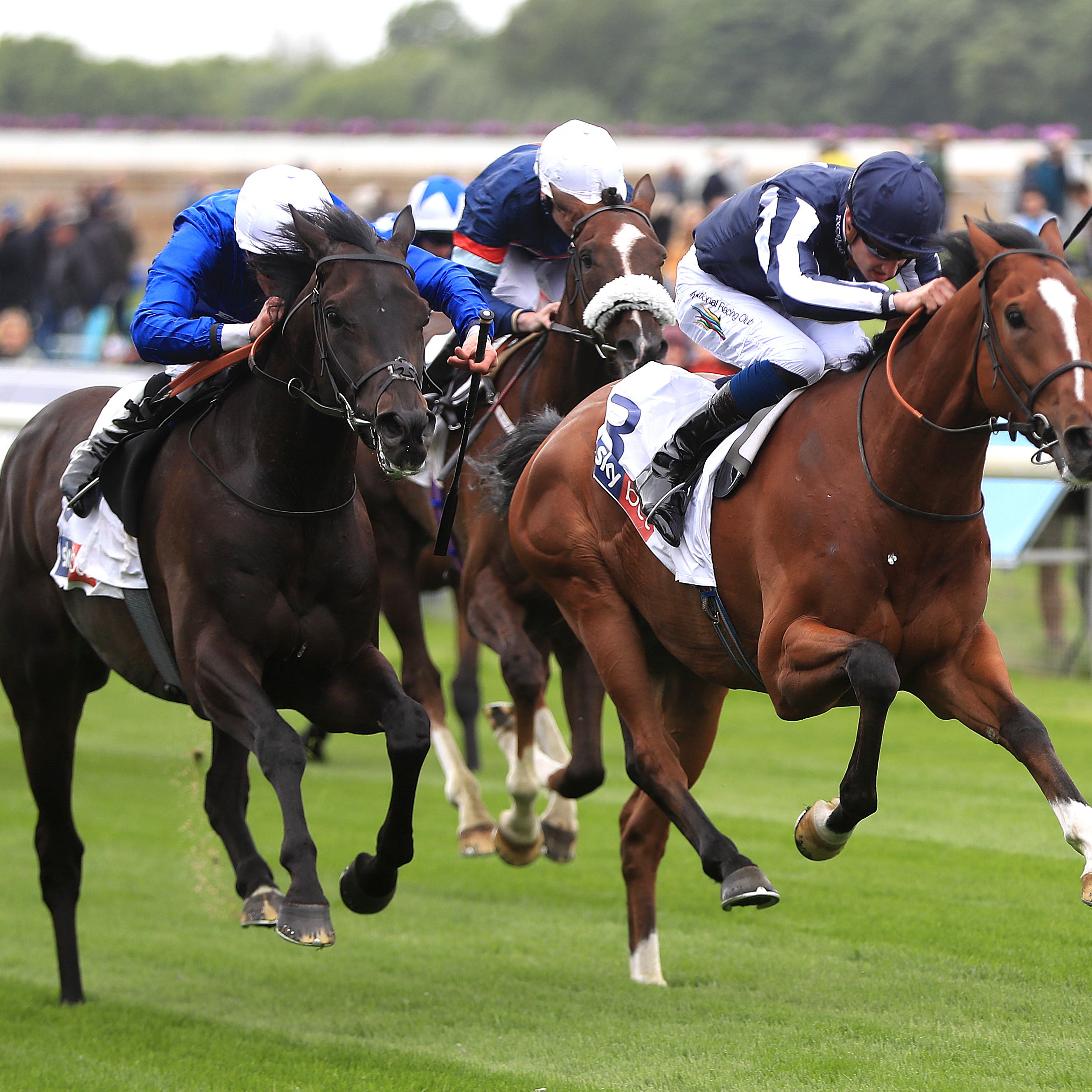Hamada (left) and Crowned Eagle fight out a thriller at York (Simon Cooper/PA)