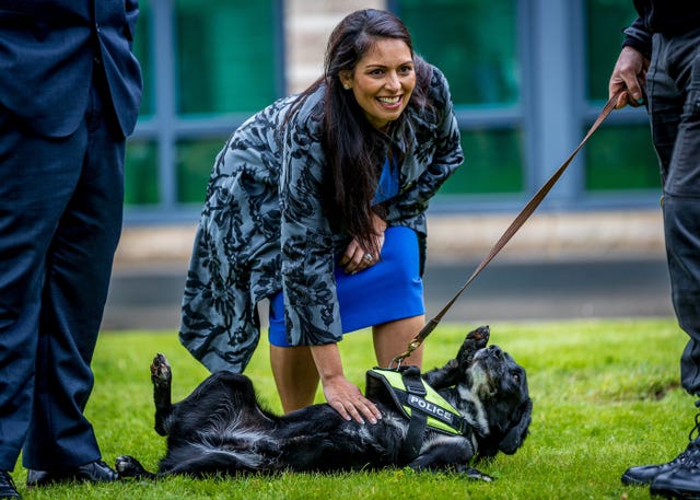 Priti Patel strokes a dog