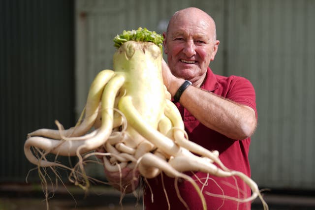 A man holding a giant radish