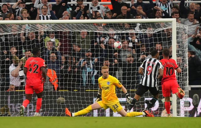 Newcastle United v Brighton and Hove Albion – Premier League – St. James’ Park