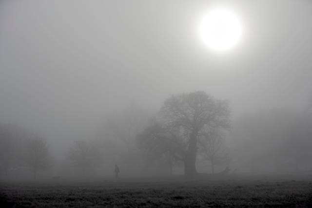 A man walks his dog in the frost and fog in Windsor Great Park, Berkshire