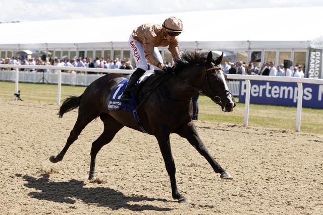 Sense Of Duty winning at Newcastle last year 