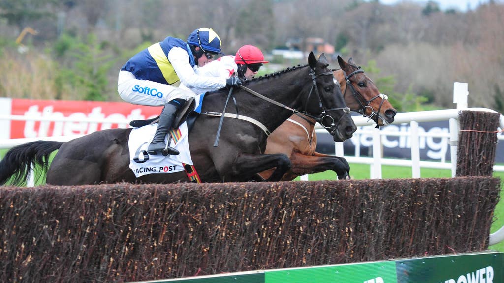 Franco de Port ridden by Bryan Cooper wins the Racing Post Novice Steeplechase (Grade 1) during the Leopardstown Christmas Festival at Leopardstown Racecourse, Dublin