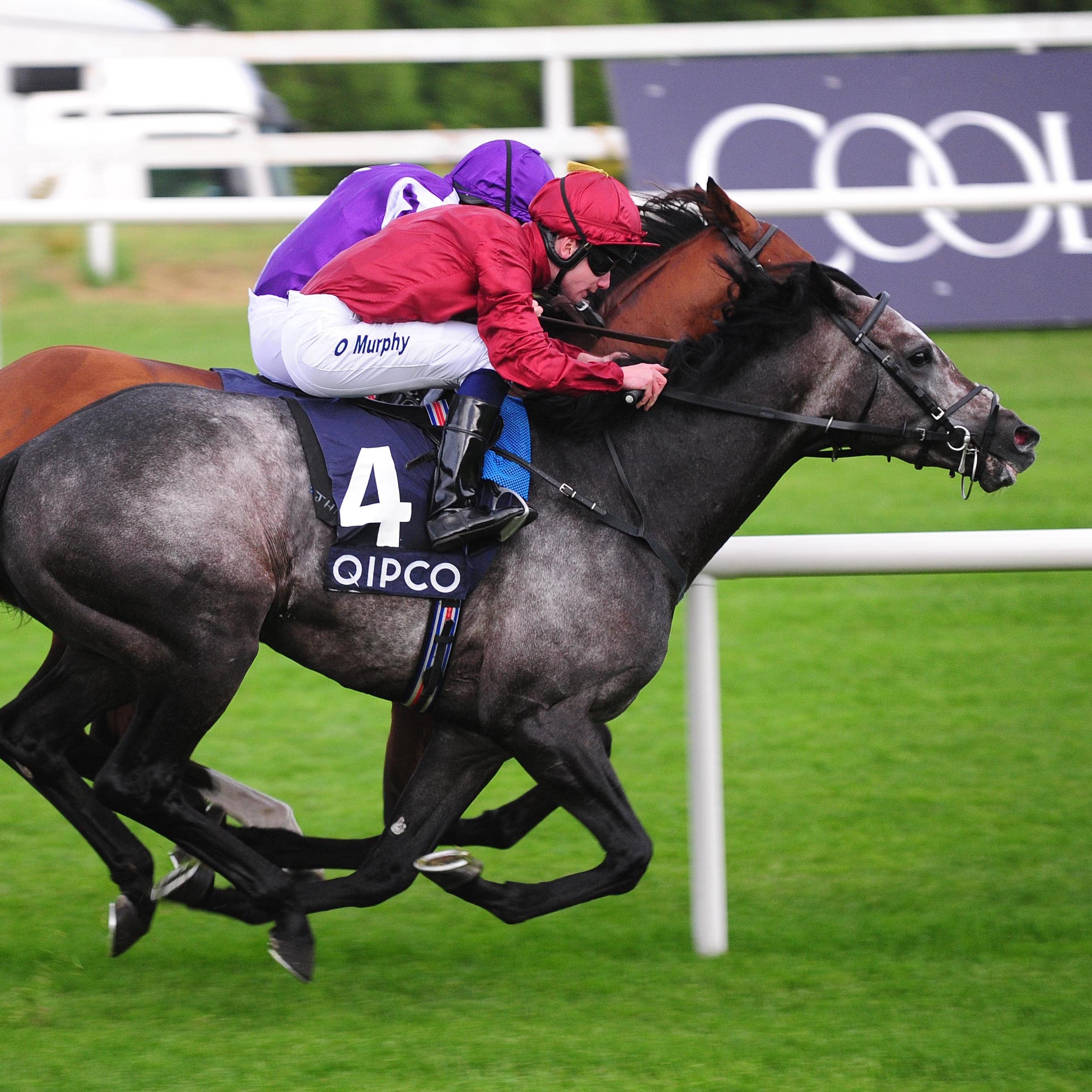 Roaring Lion grabs Saxon Warrior on the line to win the Irish Champion Stakes at Leopardstown