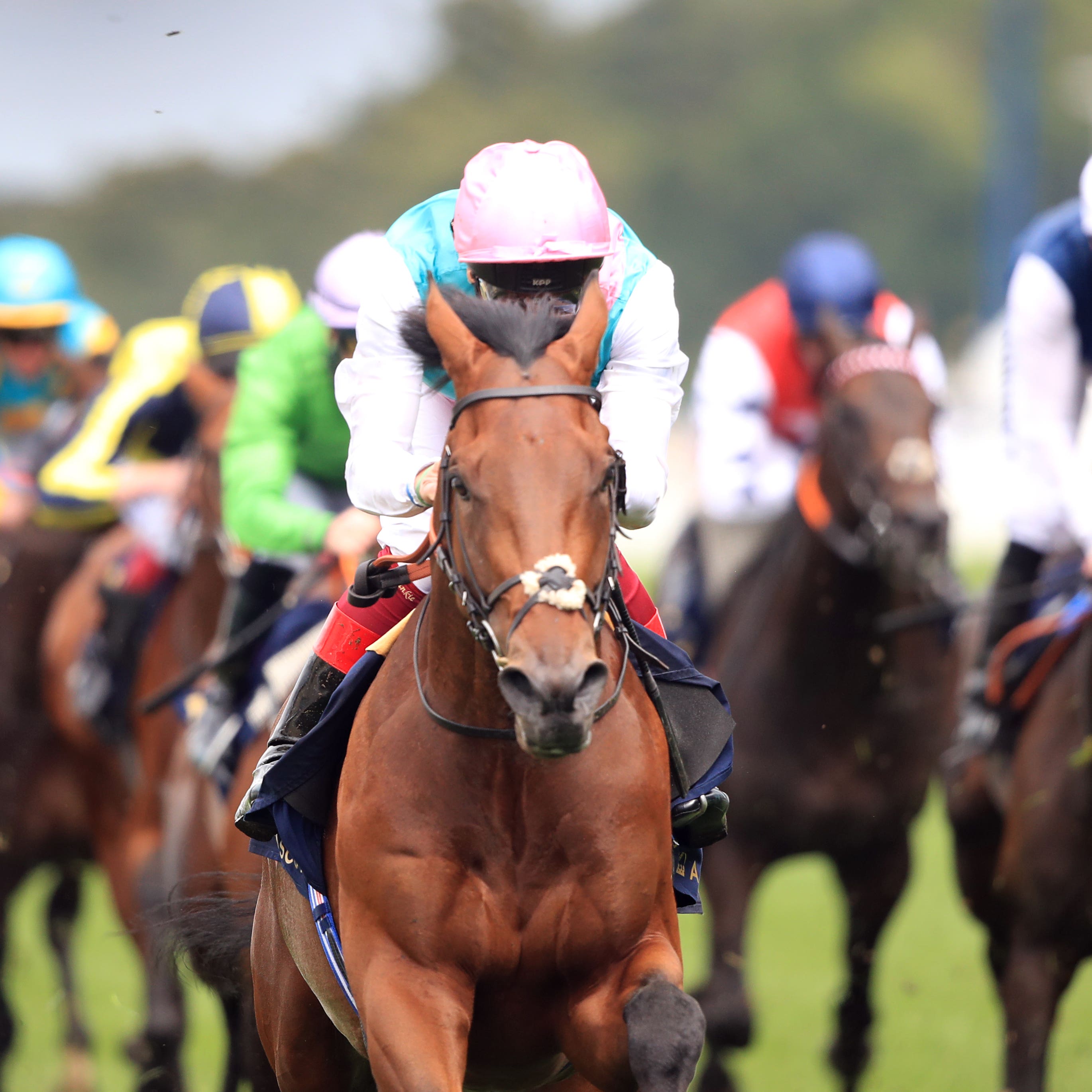 Sangarius (forefront) is among the entries for the Sky Bet York Stakes