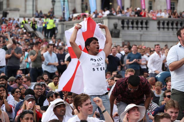 Fans Watching Cricket World Cup Final