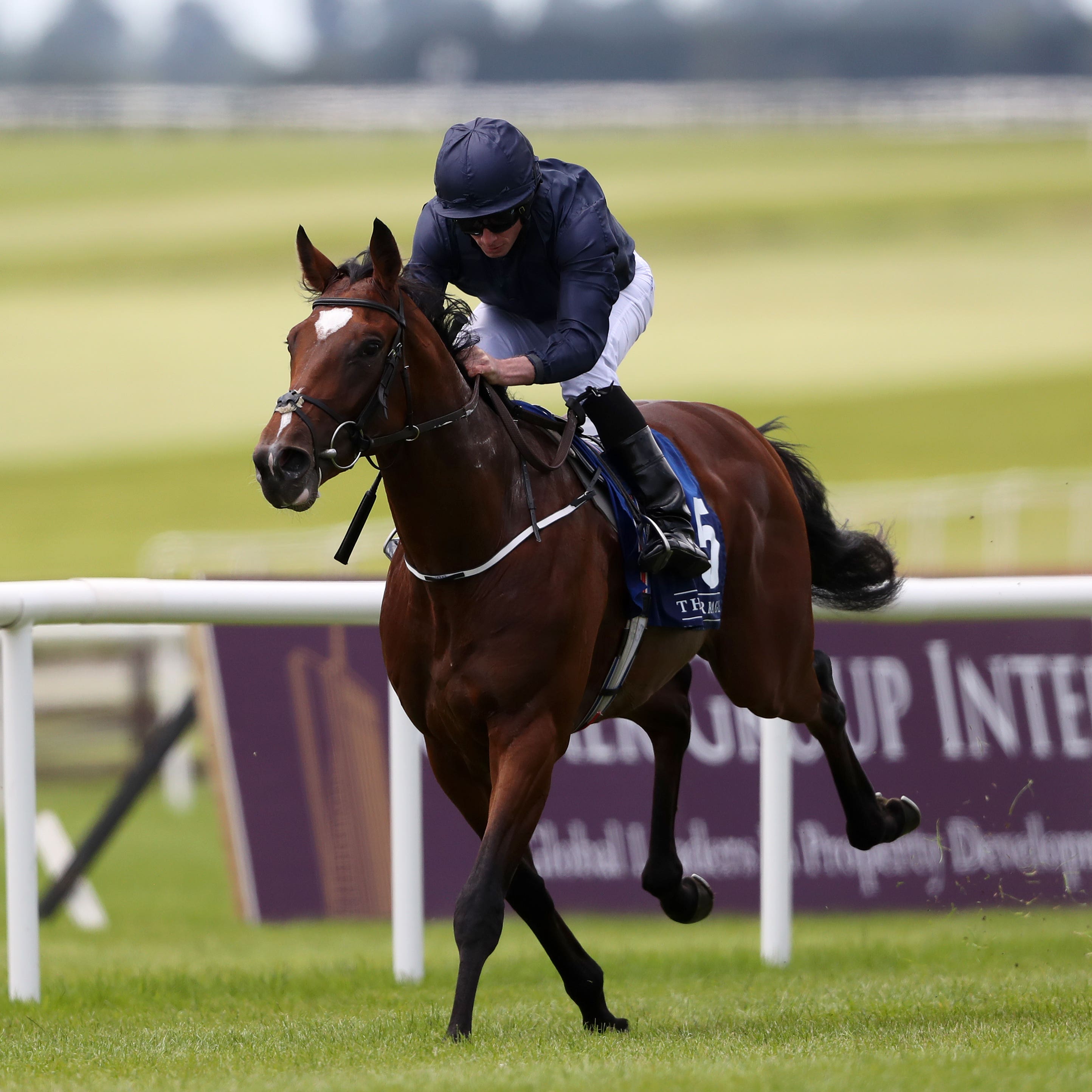 Gustav Klimt is expected to shine at Goodwood