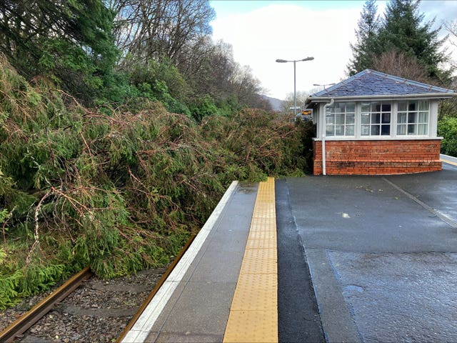 A fallen tree on the line at Arrochar & Tarbet in Scotland