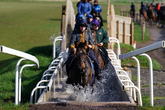 Constitution Hill leads his stablemates through the cooling stream