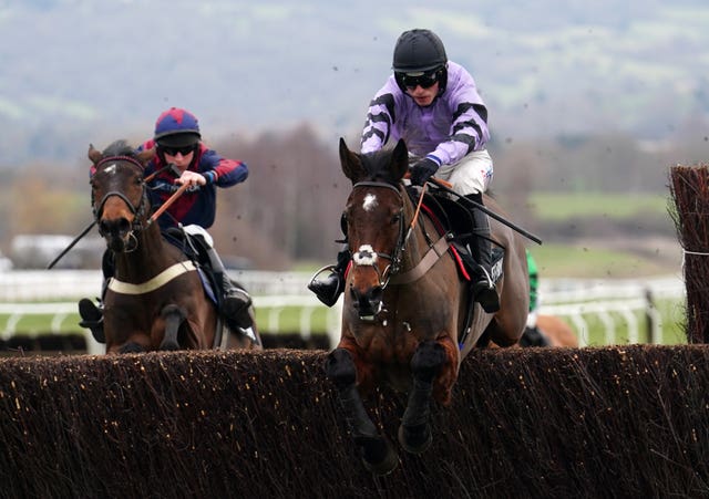 Stage Star jumped impeccably at Cheltenham