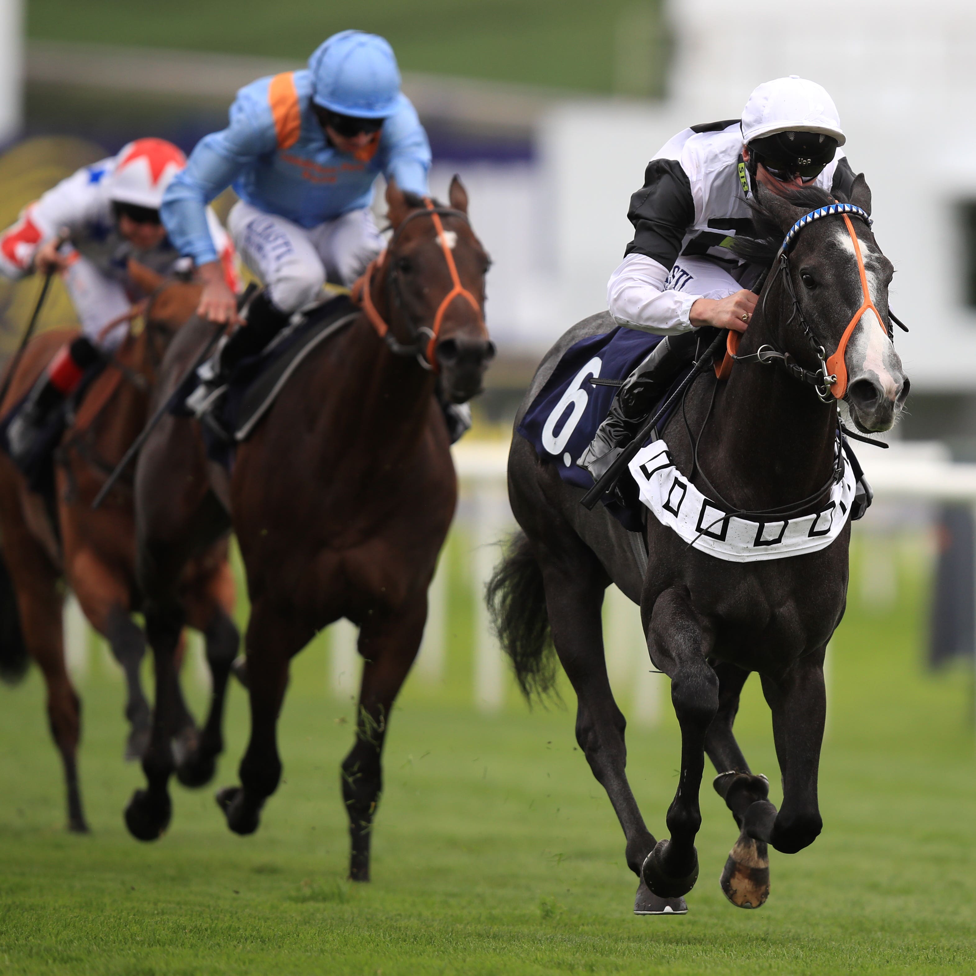 Tip Two Win (right) has recovered from injury and is back in training