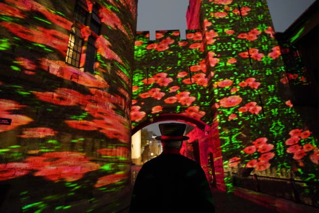 Poppy Fields at the Tower