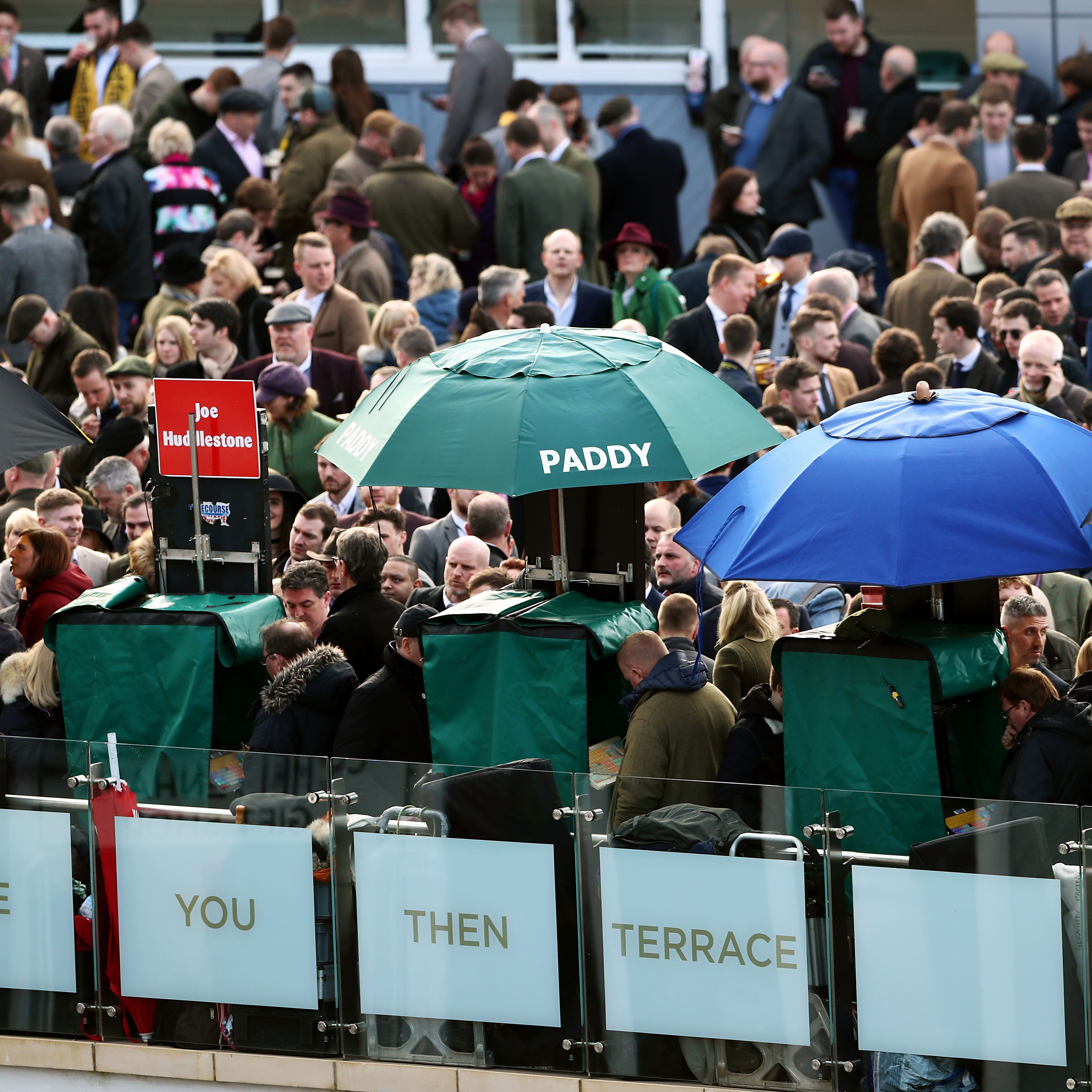 The betting jungle at Cheltenham where forutnes could be won and lost this week