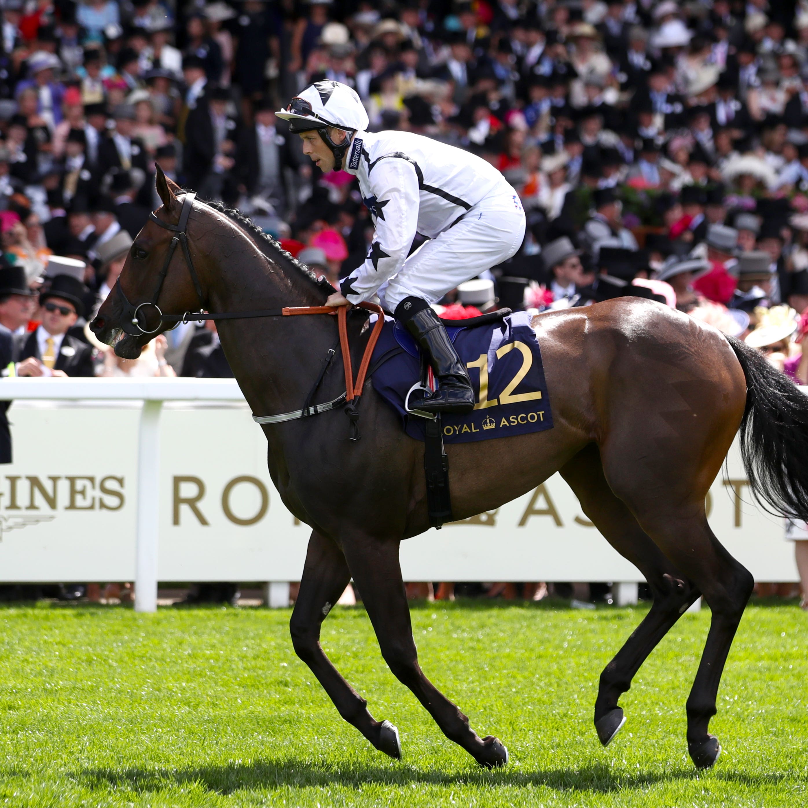 Little Kim goes to post for the Queen Mary at Royal Ascot