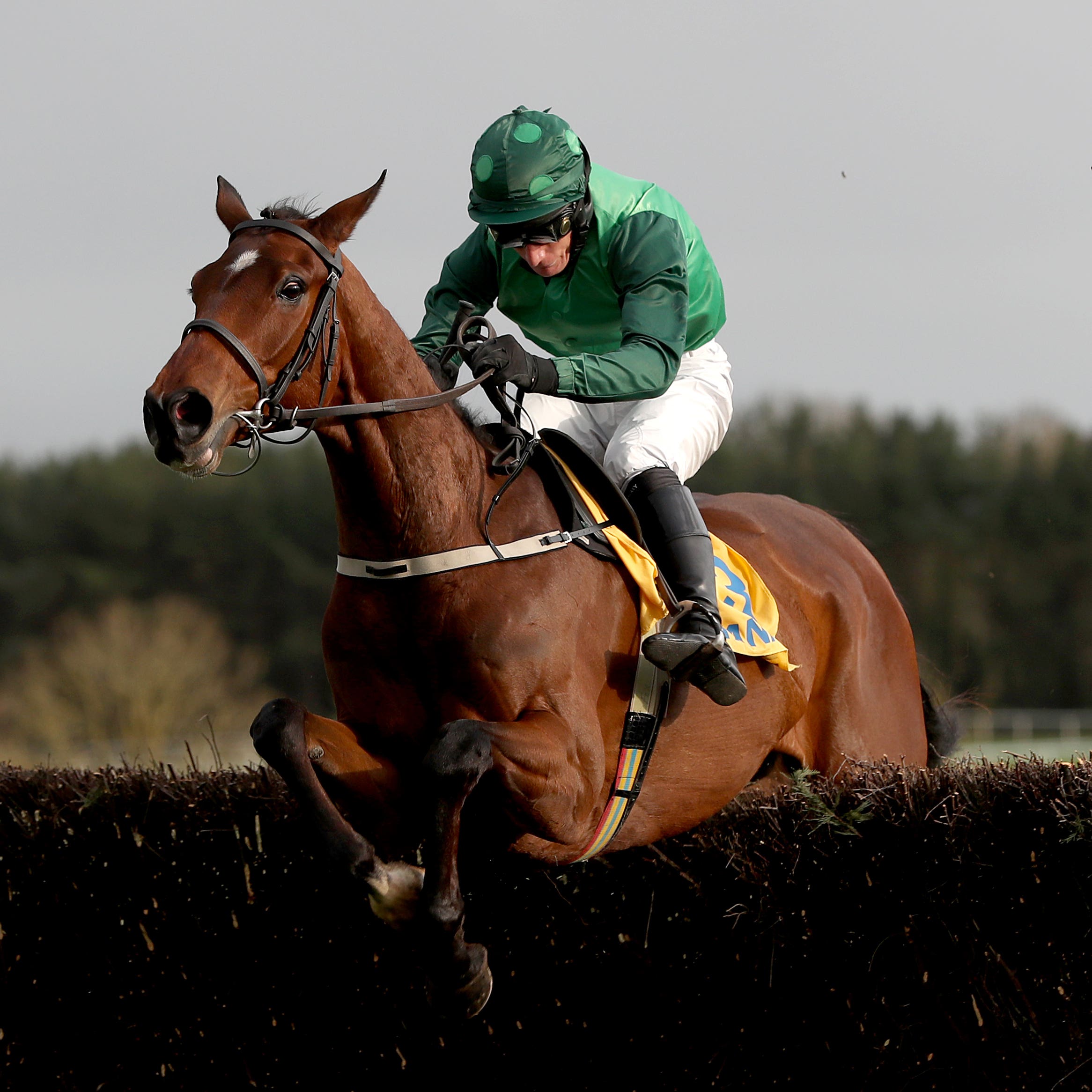Footpad will hopefully be back in action soon