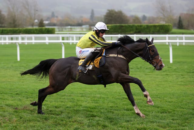 Burdett Road is still a likely Triumph runner despite his Cheltenham eclipse