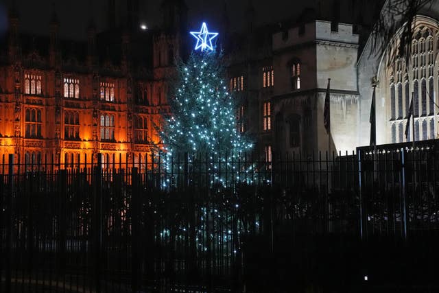 The Palace of Westminster Christmas tree in London