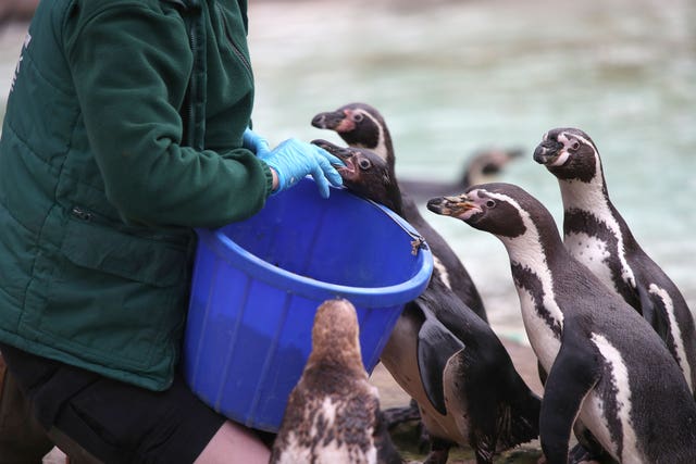 ZSL London Zoo annual stocktake