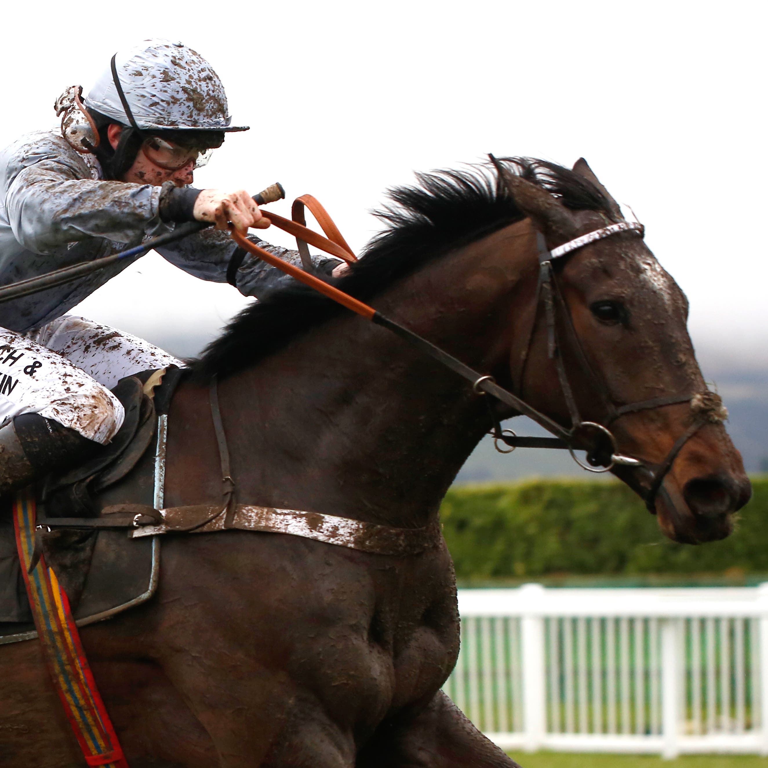 Santini is set to clash with Delta Work in the RSA Insurance Novices' Chase