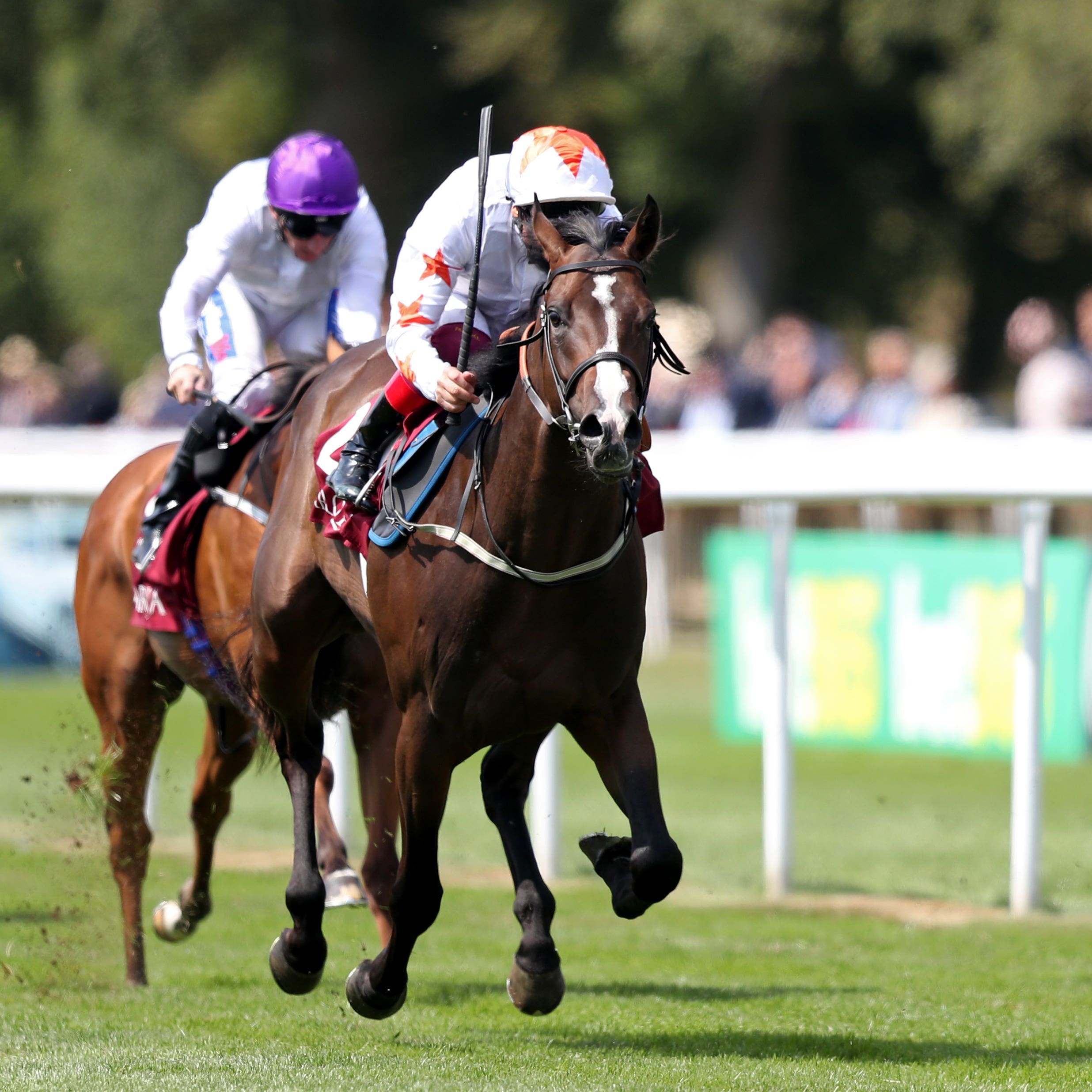 Advertise wins the July Stakes at Newmarket