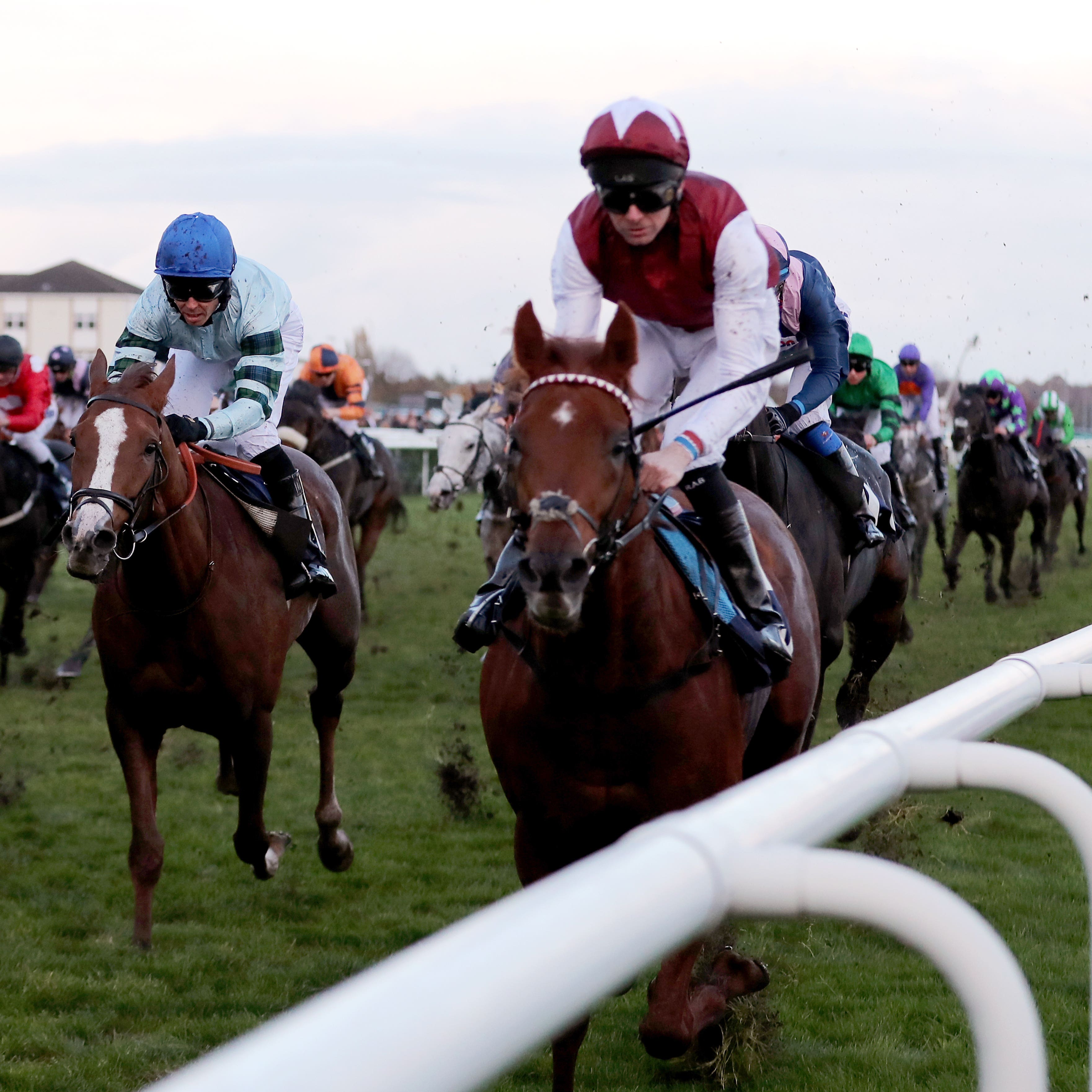 Royal Line made no mistake this year in the November Handicap