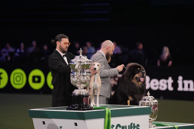 Crufts Dog Show 2025