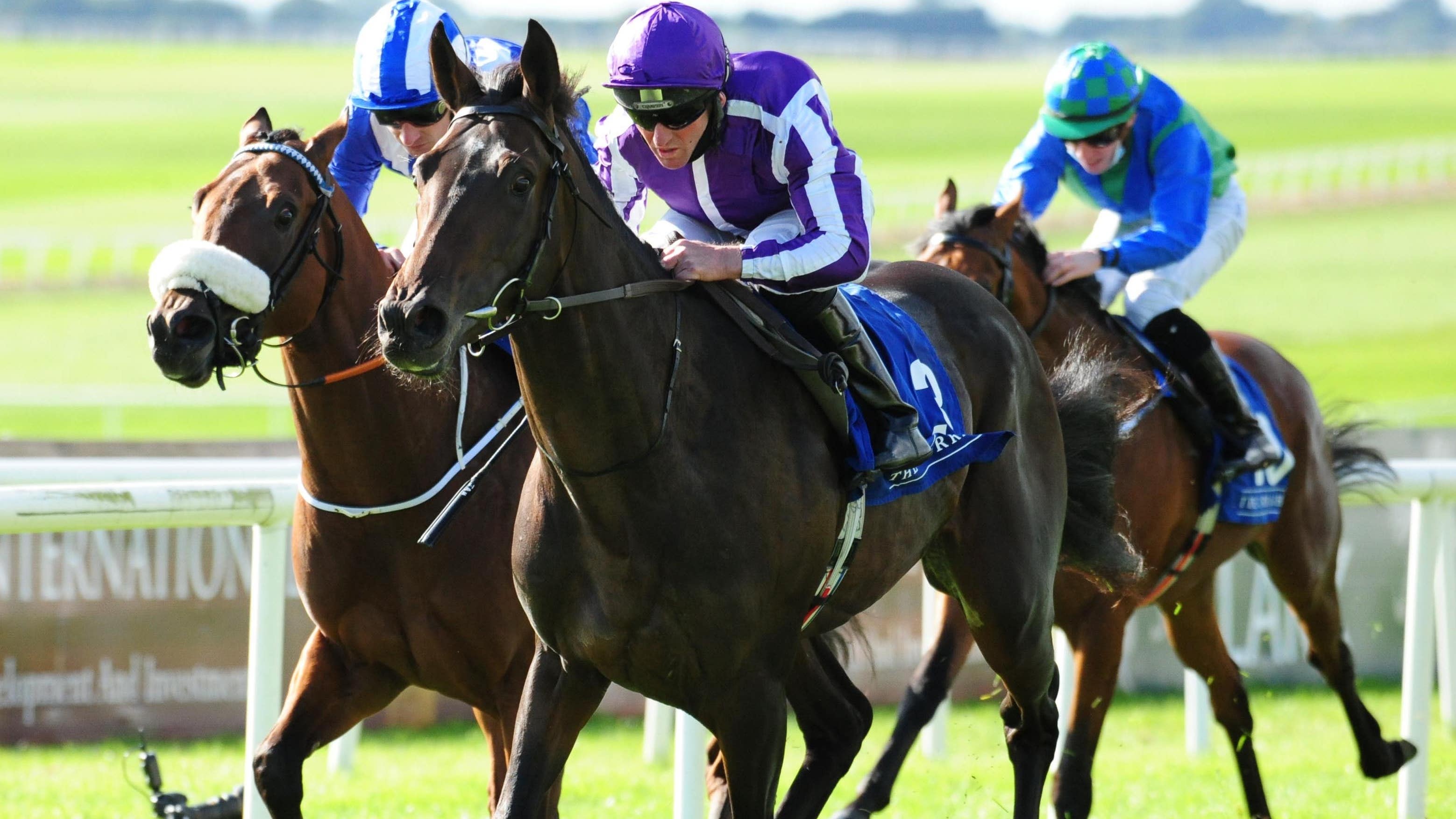 Irish Derby High Definition Heads Aidan O Brien s Squad