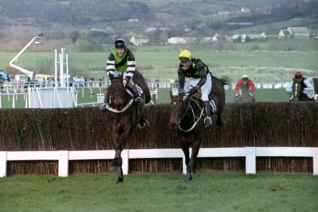 Jodami (left) in action at Cheltenham 