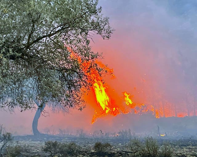 A wildfire on the island of Rhodes, Greece
