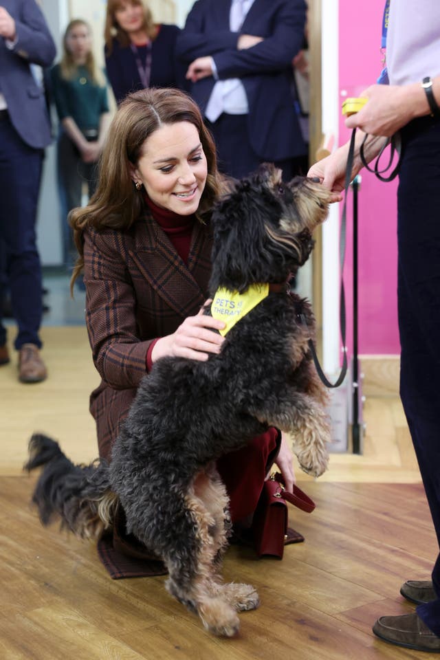 Kate meeting Scout, a therapy dog