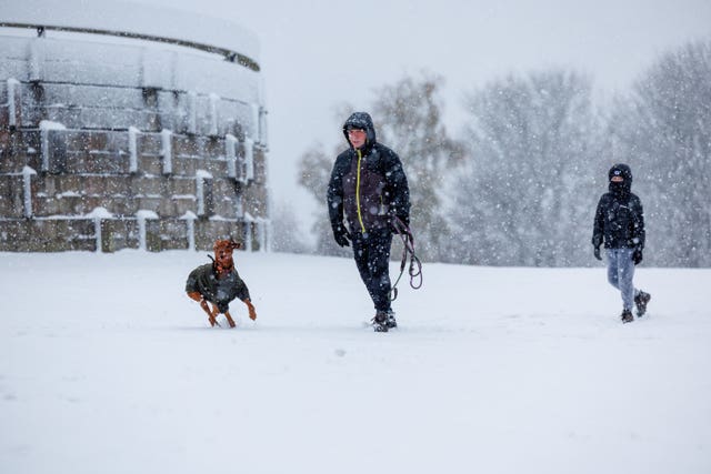 A man and his son and dogs having fun in heavy snowfall at Bannockburn, near Stirling (