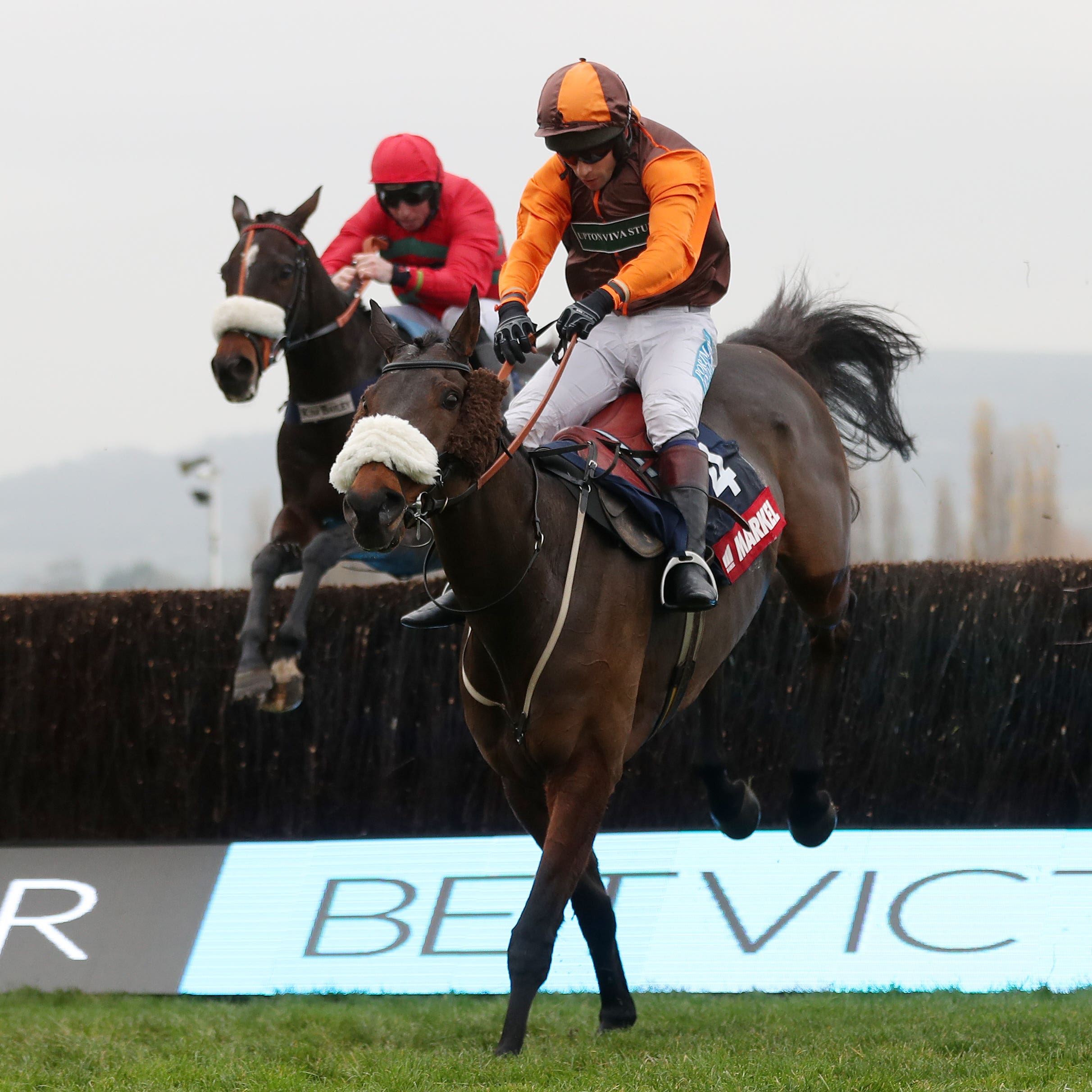 The Young Master could be switched to Ayr should he not get in the Grand National at Aintree