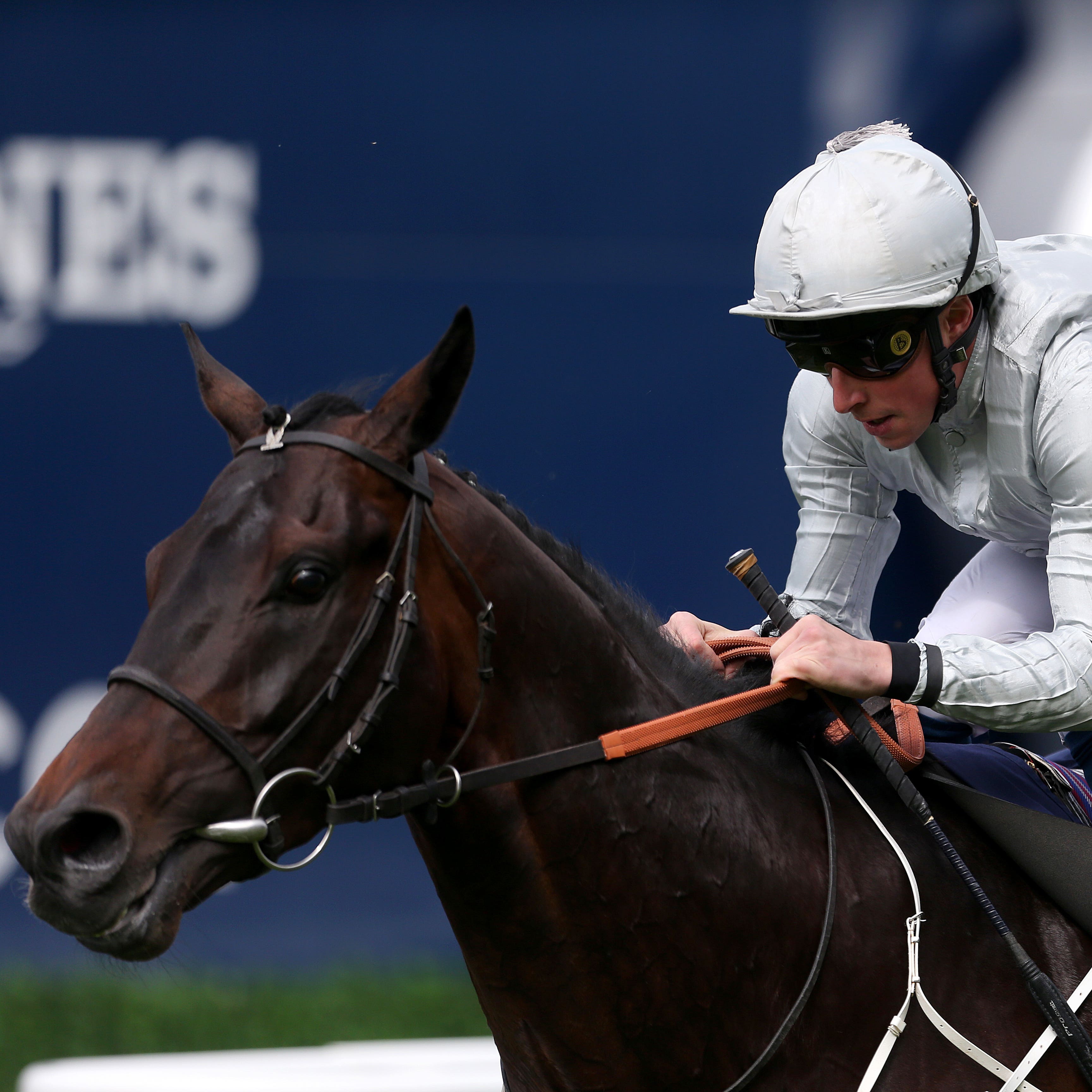 Dee Ex Bee wins the Sagaro Stakes at Ascot