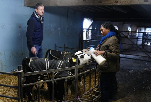 Kemi Badenoch hand feeding calves 