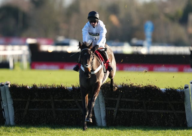 Constitution Hill is a very skinny price for the Champion Hurdle 