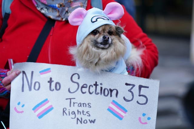 Trans rights protest