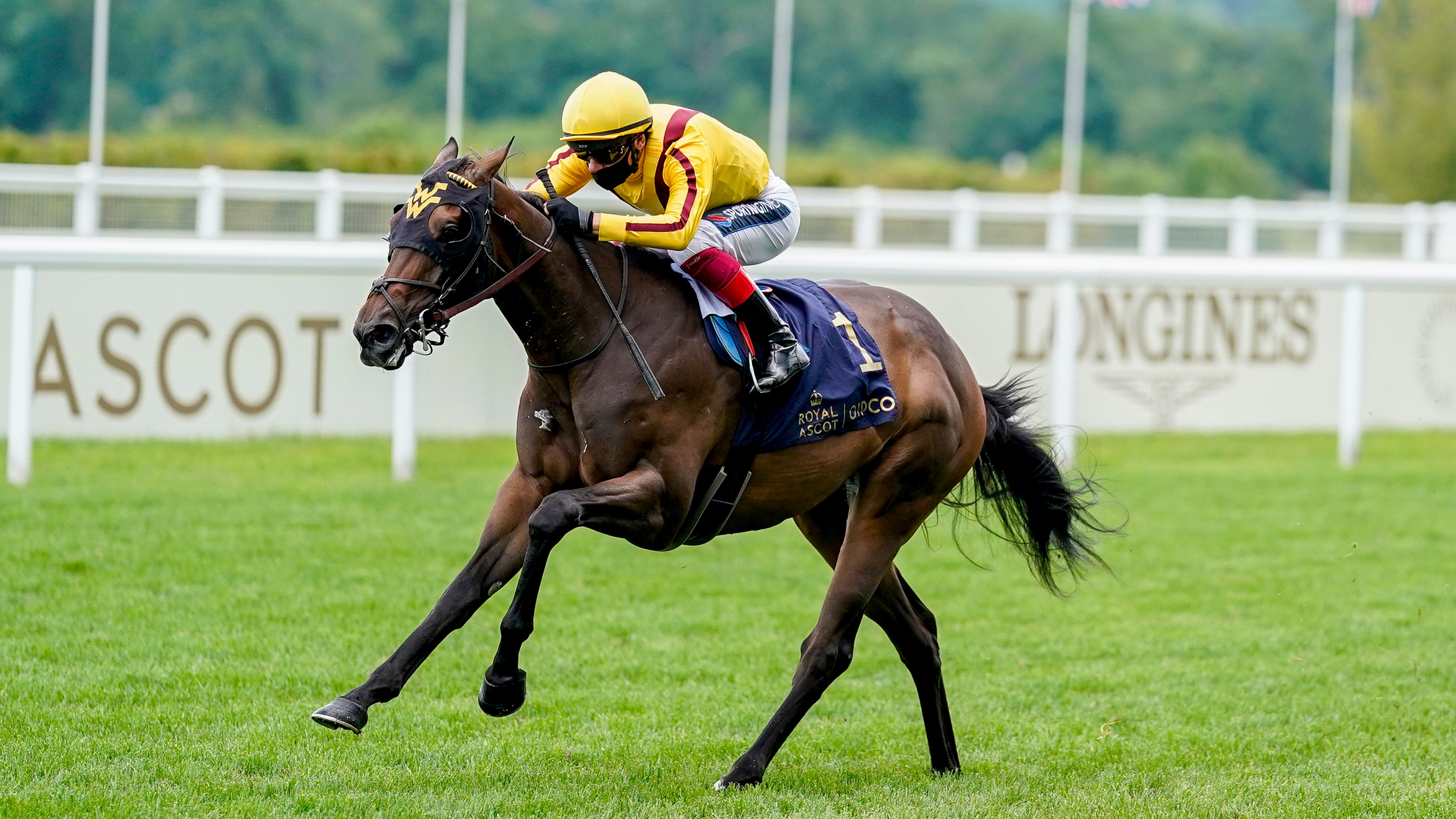 Ascot Winners Ascot Winners