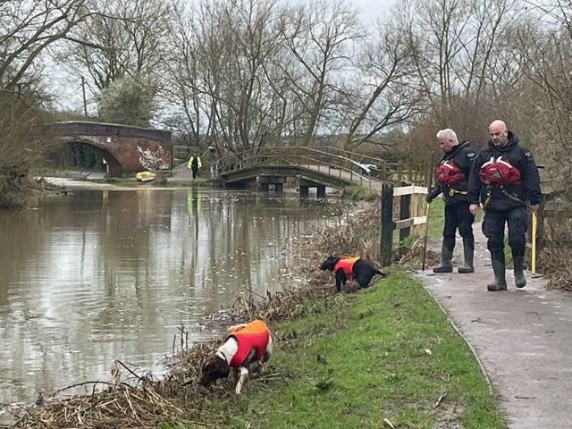 Marine recovery dogs searching near the river