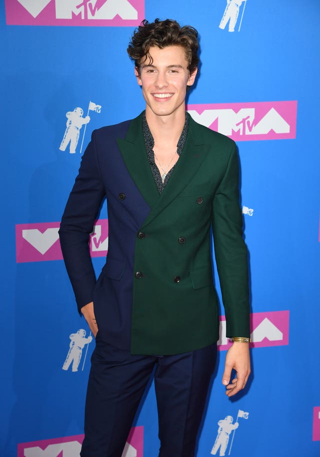 Shawn Mendes on the red carpet