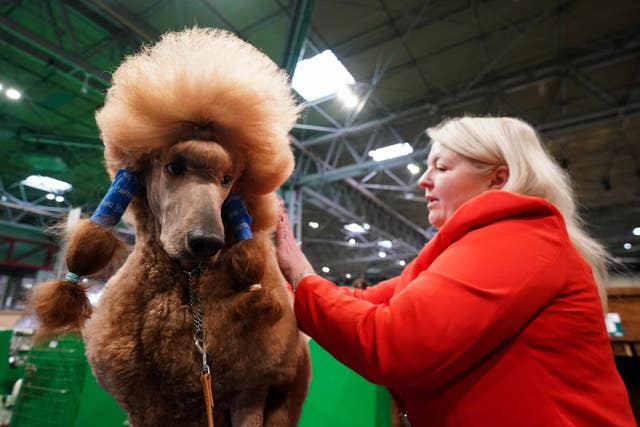 Crufts Dog Show 2024 – Day One
